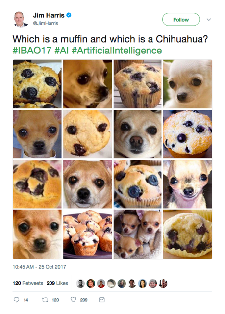 Jim Harris tweets an image of dogs and blueberry muffins.